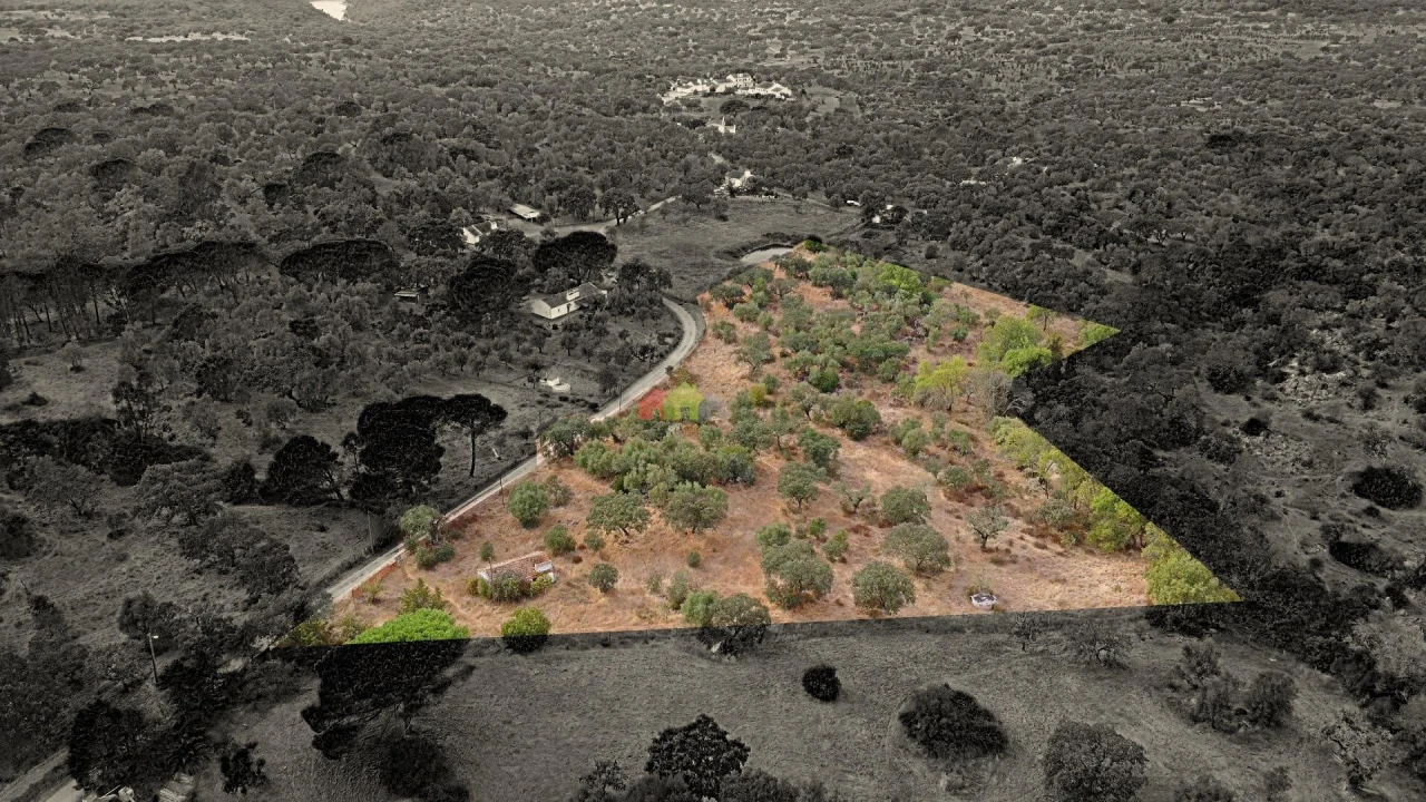 Quinta T2 para Venda em Foros de Vale de Figueira Foto 1