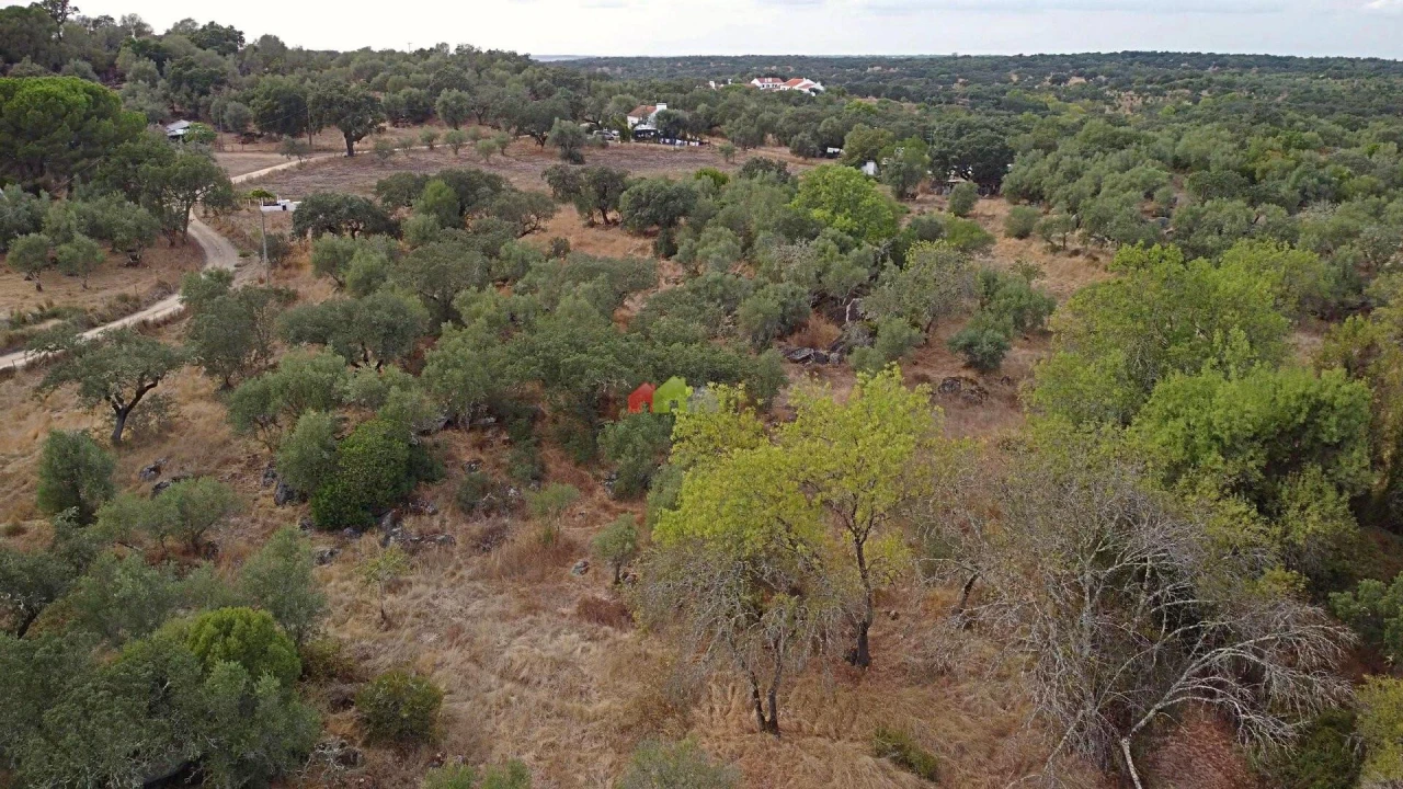 Quinta T2 para Venda em Foros de Vale de Figueira Foto 22