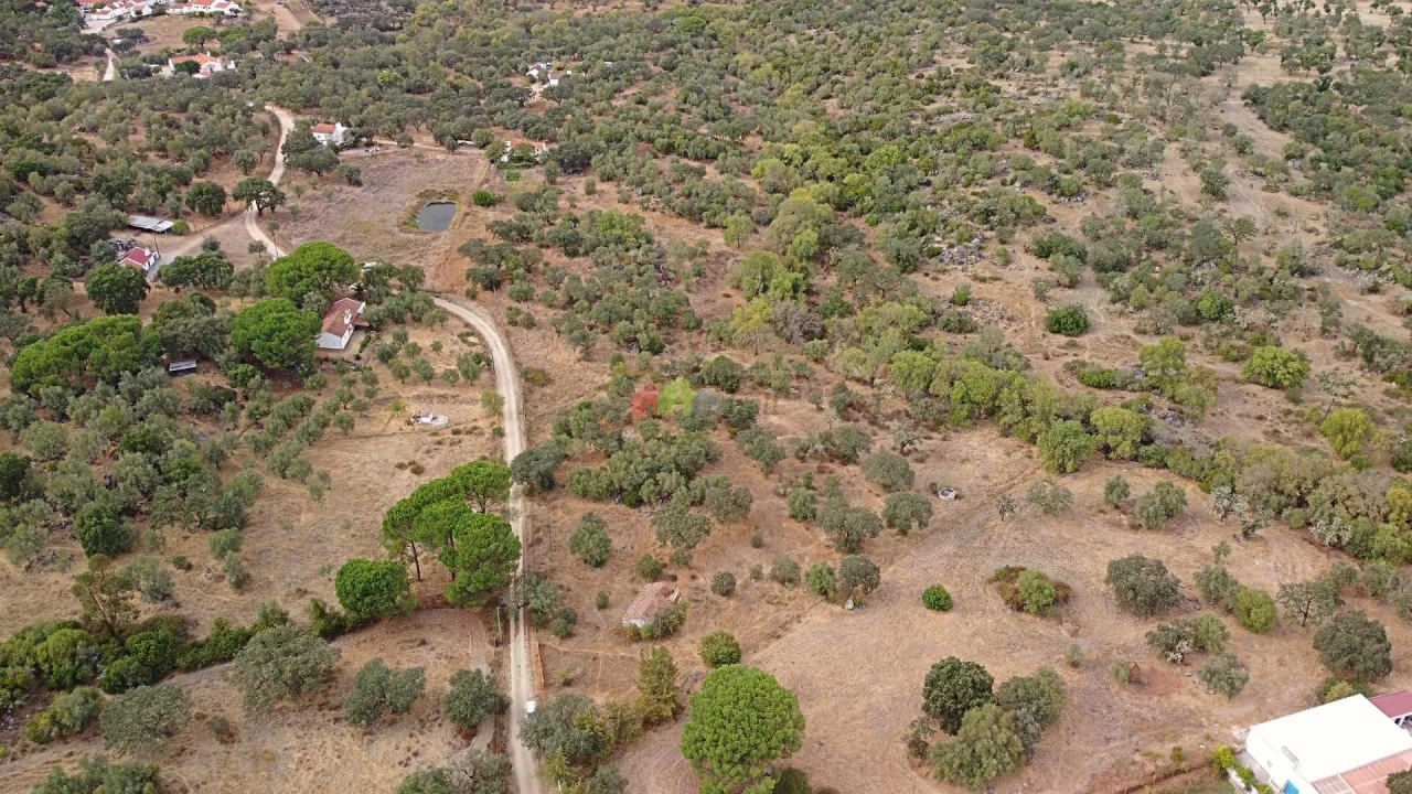 Quinta T2 para Venda em Foros de Vale de Figueira Foto 7