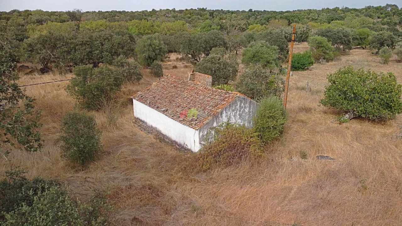 Quinta T2 para Venda em Foros de Vale de Figueira Foto 3