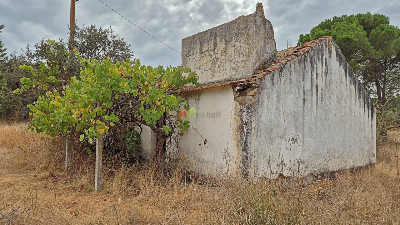 Quinta T2 para Venda em Foros de Vale de Figueira Foto 12