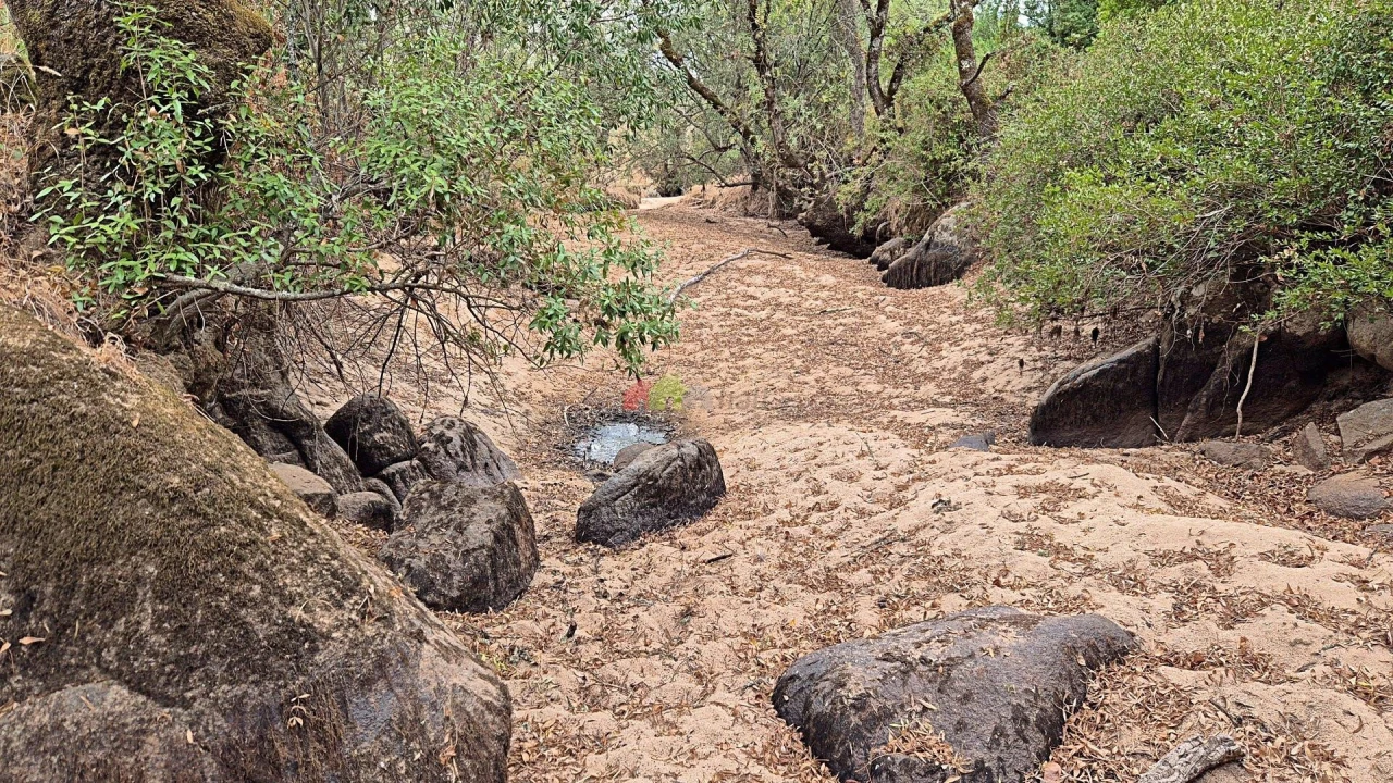 Quinta T2 para Venda em Foros de Vale de Figueira Foto 21