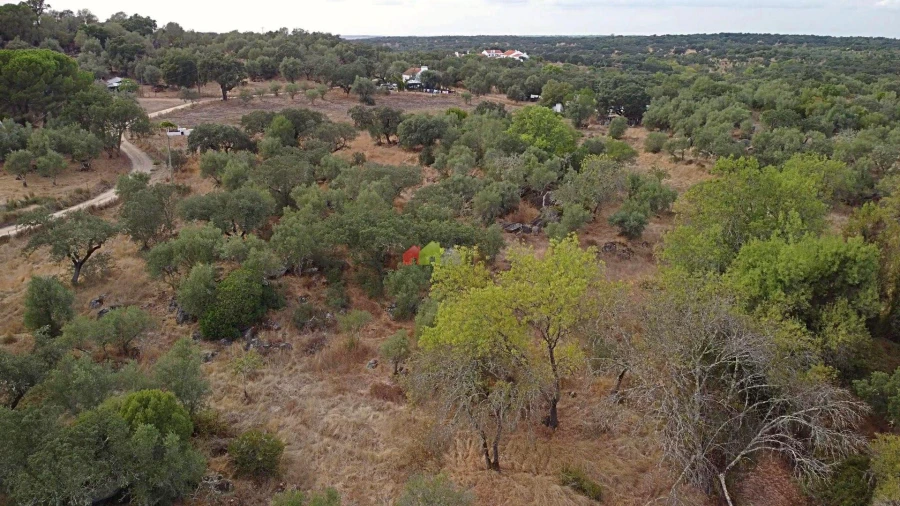 Quinta T2 para Venda em Foros de Vale de Figueira Foto 22