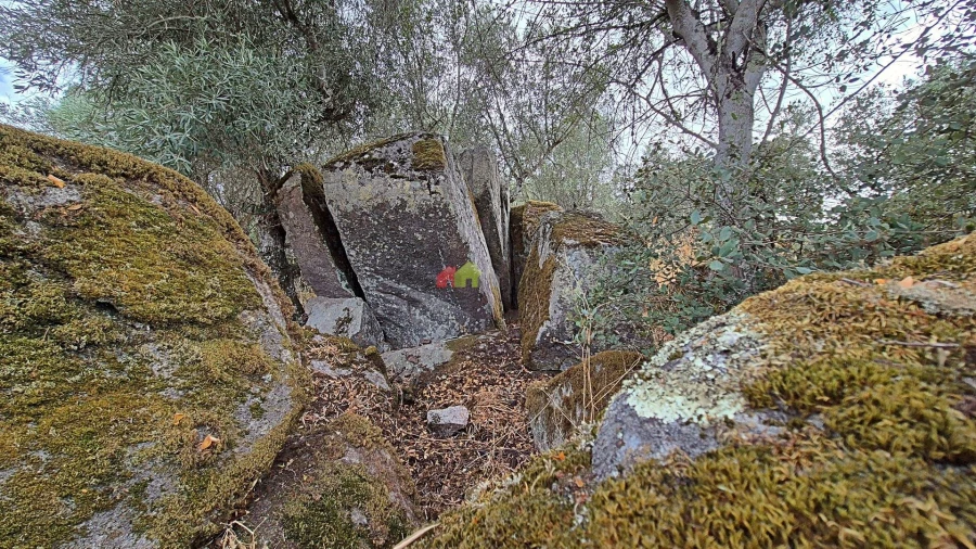 Quinta T2 para Venda em Foros de Vale de Figueira Foto 23