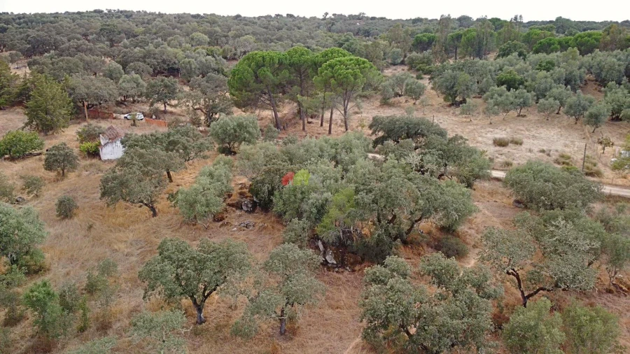 Quinta T2 para Venda em Foros de Vale de Figueira Foto 29