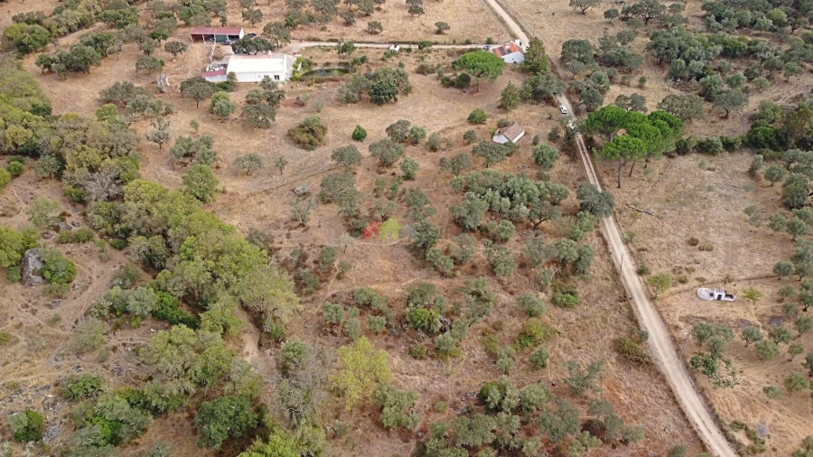 Quinta T2 para Venda em Foros de Vale de Figueira Foto 8