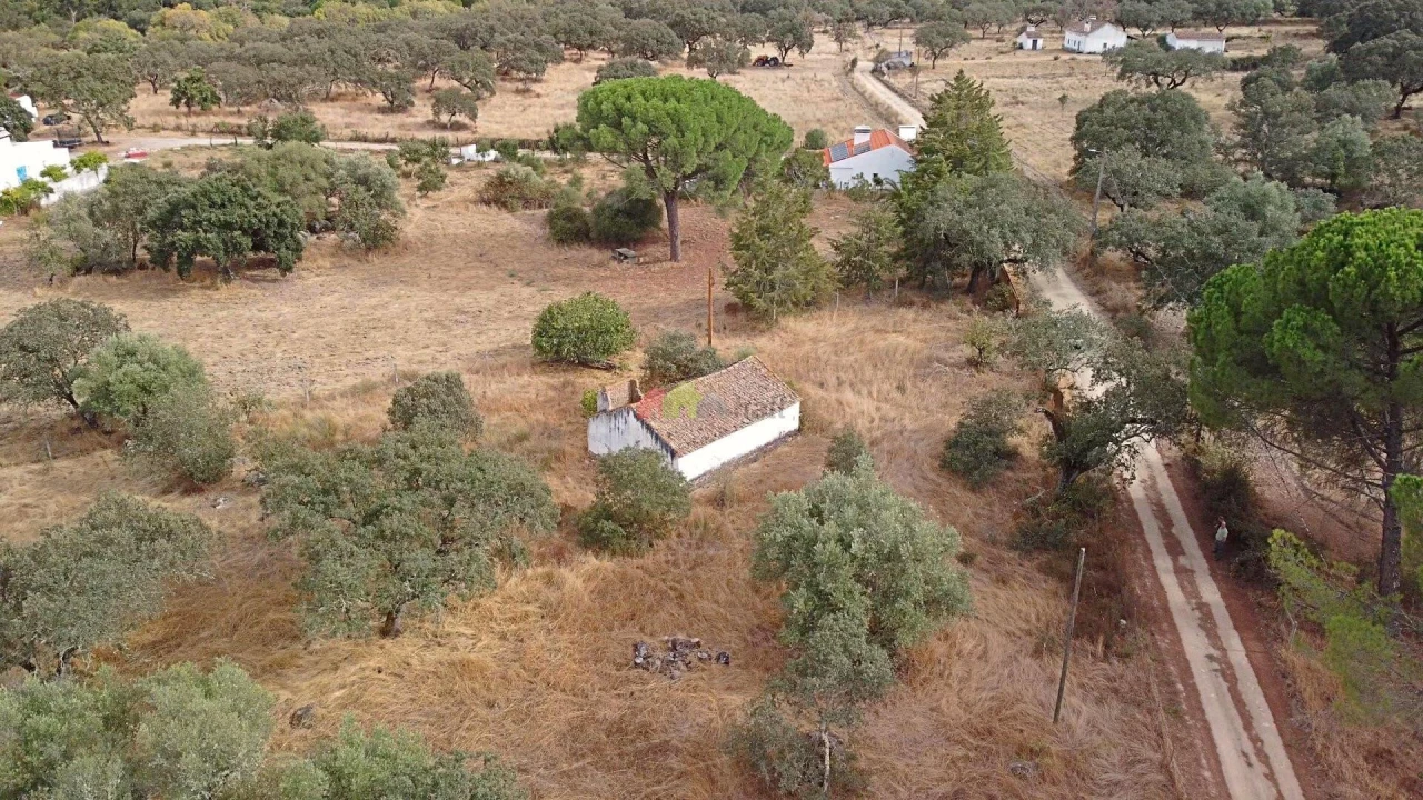 Quinta T2 para Venda em Foros de Vale de Figueira Foto 5