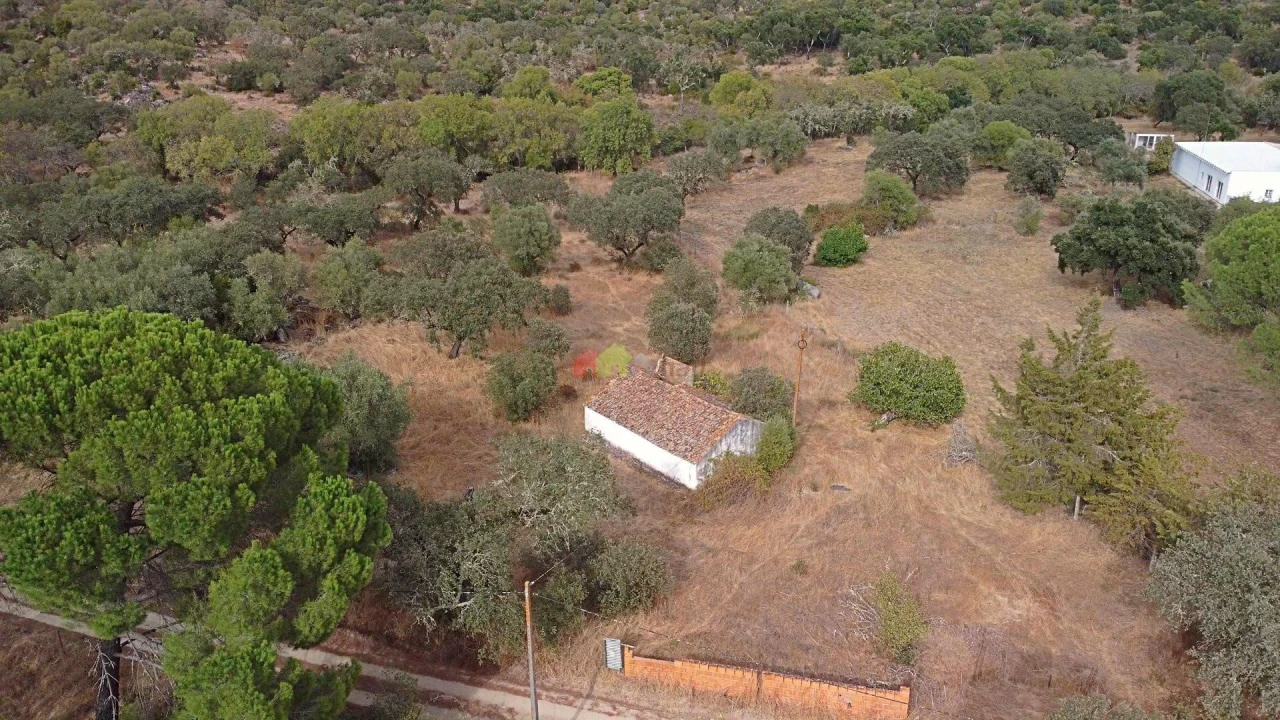 Quinta T2 para Venda em Foros de Vale de Figueira Foto 4