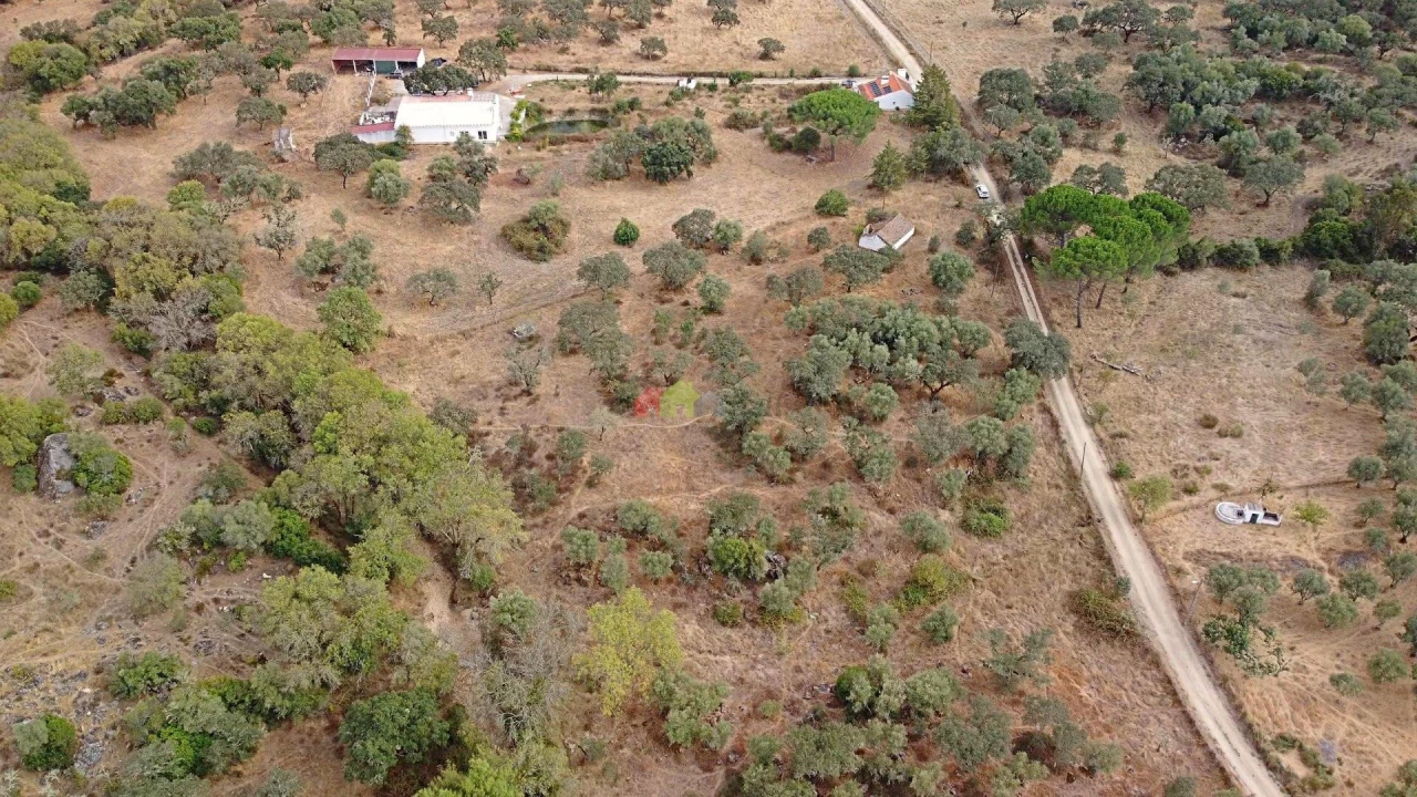 Quinta T2 para Venda em Foros de Vale de Figueira Foto 8