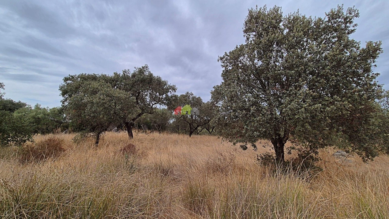 Quinta T2 para Venda em Foros de Vale de Figueira Foto 24