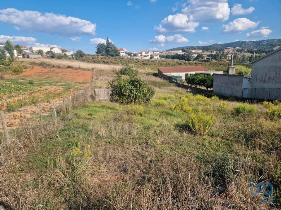 Terreno para Venda em Lamas e Cercal Foto 4