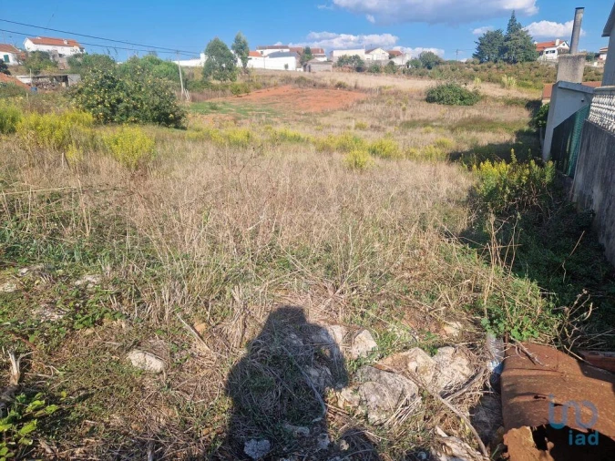 Terreno para Venda em Lamas e Cercal Foto 5