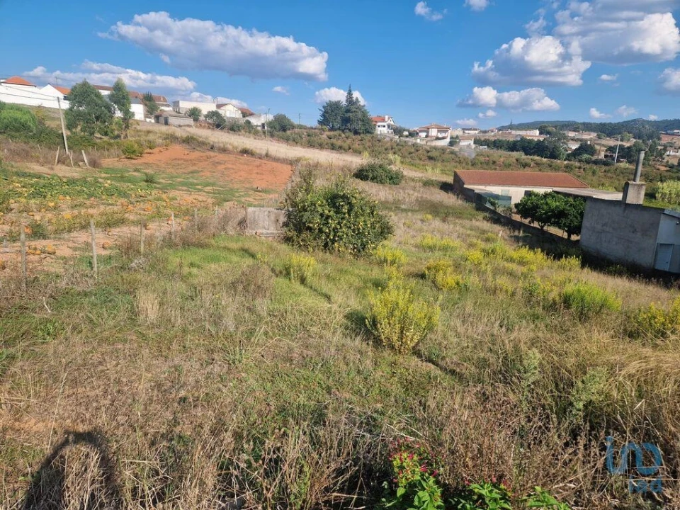 Terreno para Venda em Lamas e Cercal Foto 3