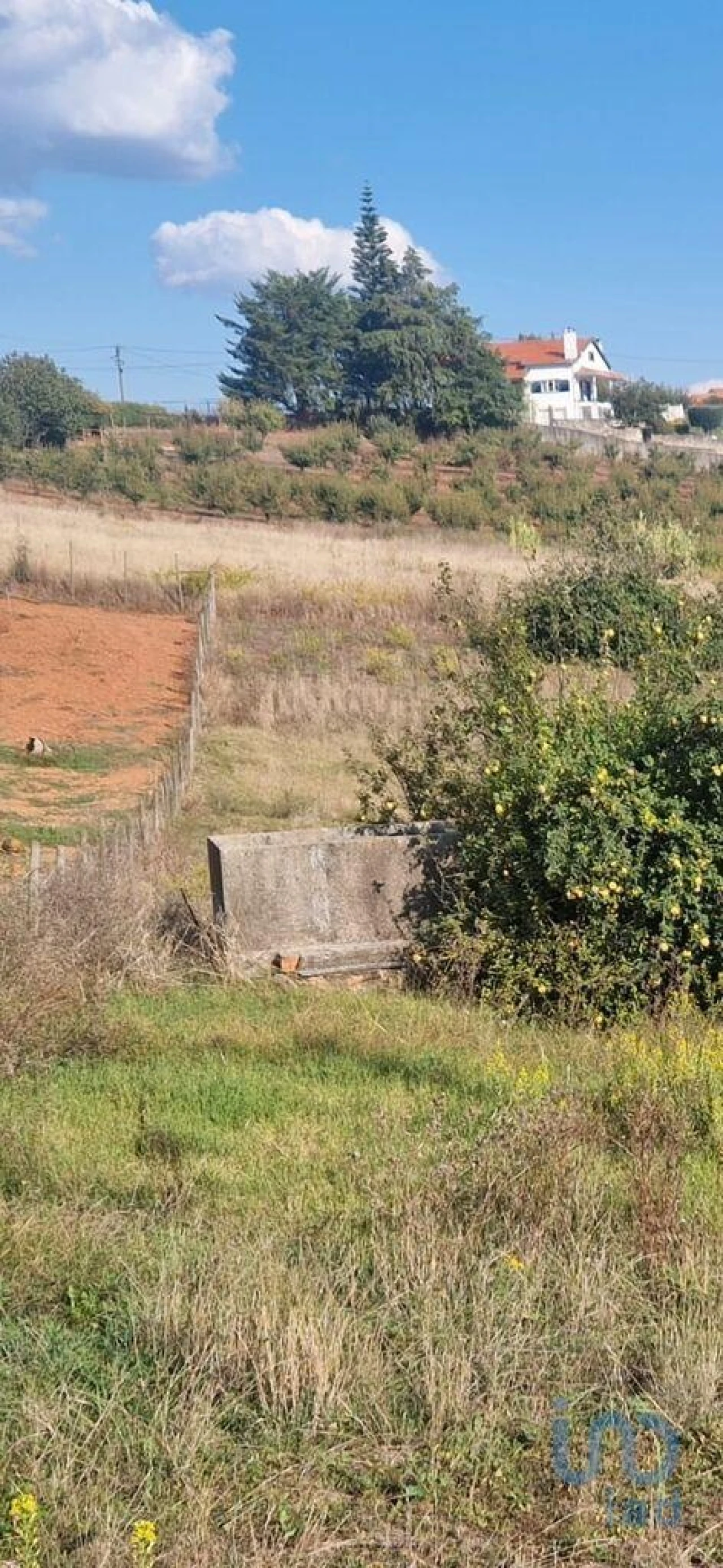 Terreno para Venda em Lamas e Cercal Foto 6
