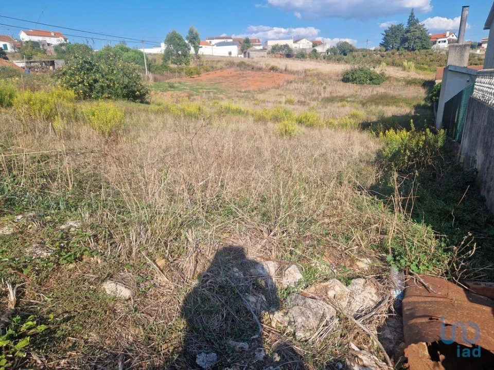 Terreno para Venda em Lamas e Cercal Foto 5