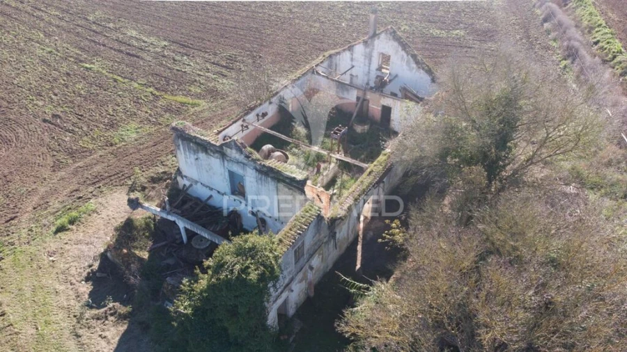 Moradia para Venda em São João da Ribeira e Ribeira de São João Foto 6