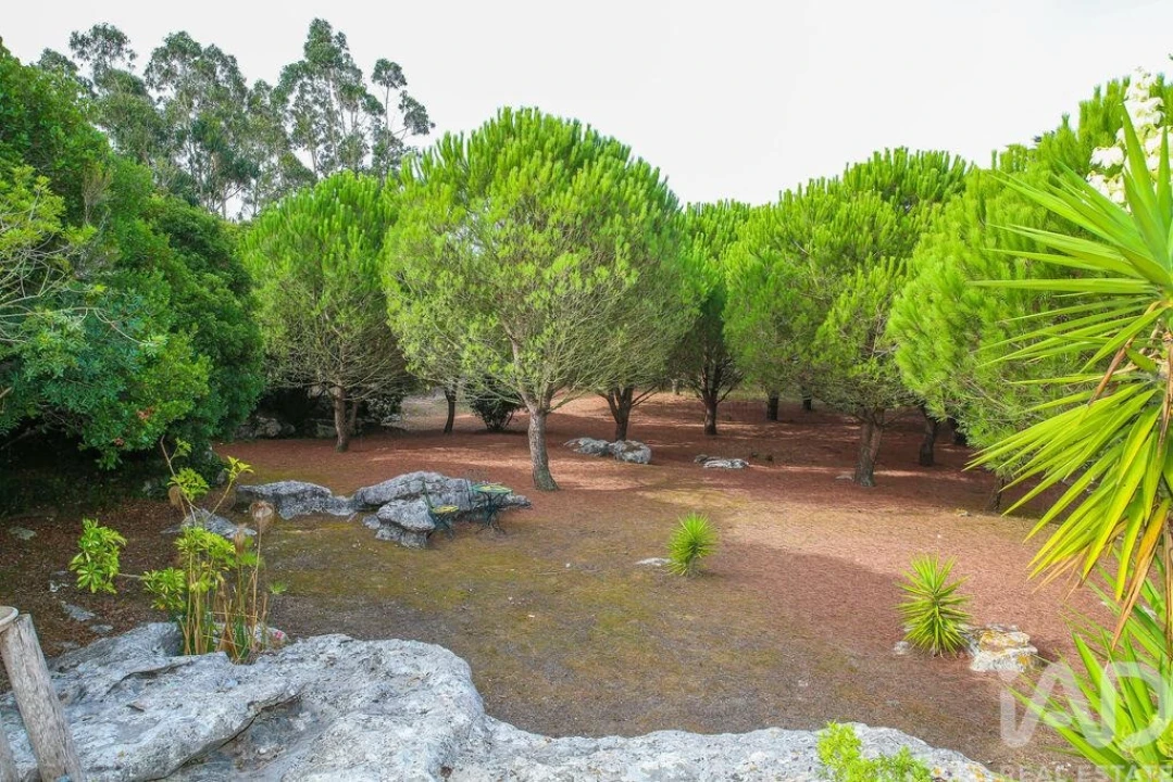 Moradia T4 para Venda em Reguengo Grande Foto 7