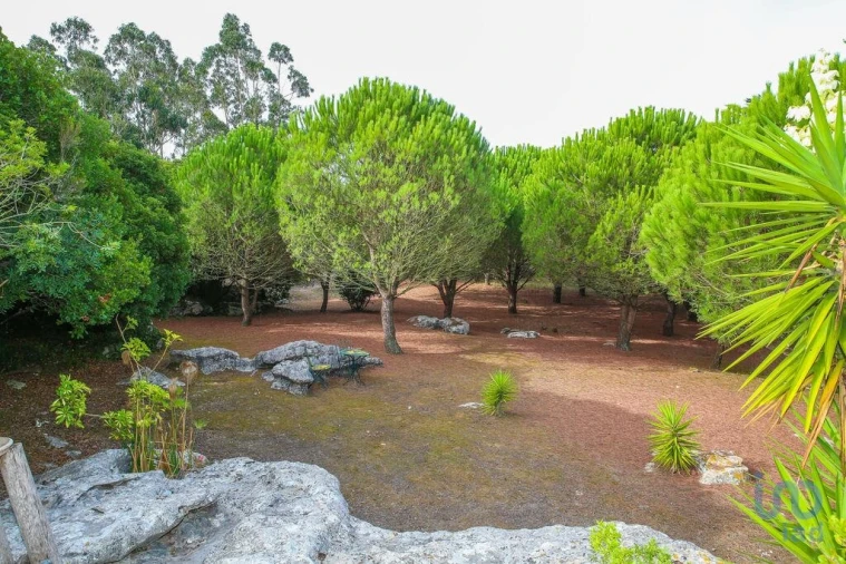 Moradia T4 para Venda em Reguengo Grande Foto 7