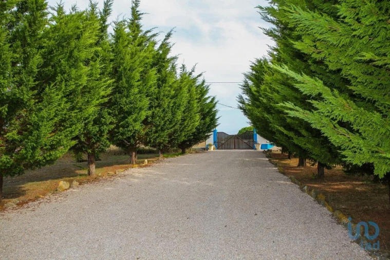 Moradia T4 para Venda em Reguengo Grande Foto 5