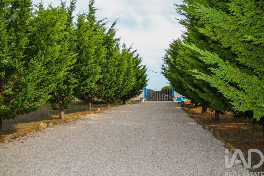 Moradia T4 para Venda em Reguengo Grande Foto 5