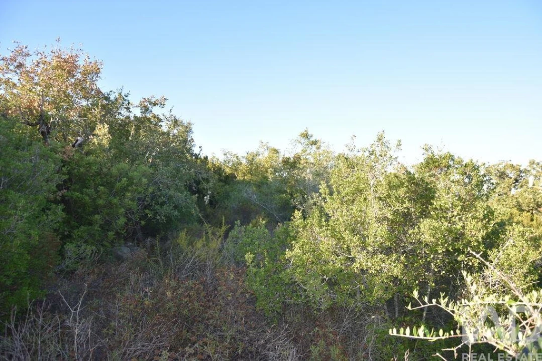 Terreno para Venda em Chãos Foto 18