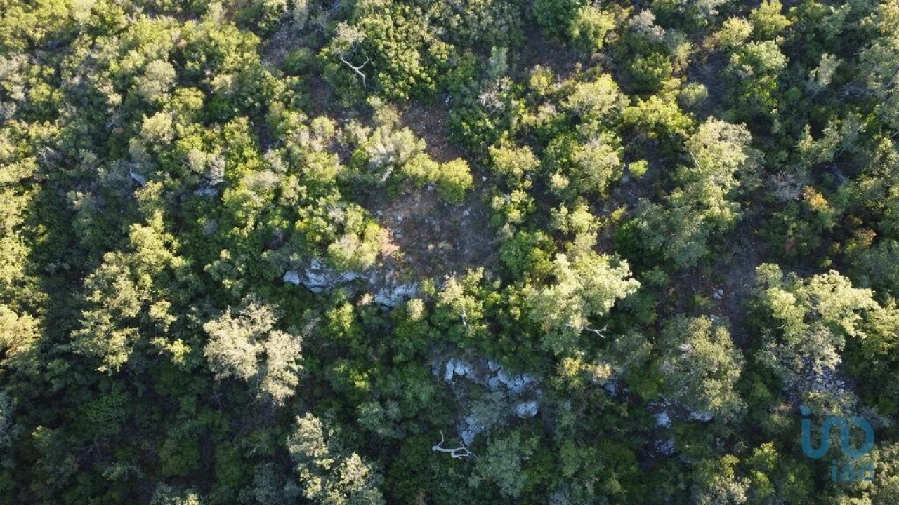 Terreno para Venda em Chãos Foto 8