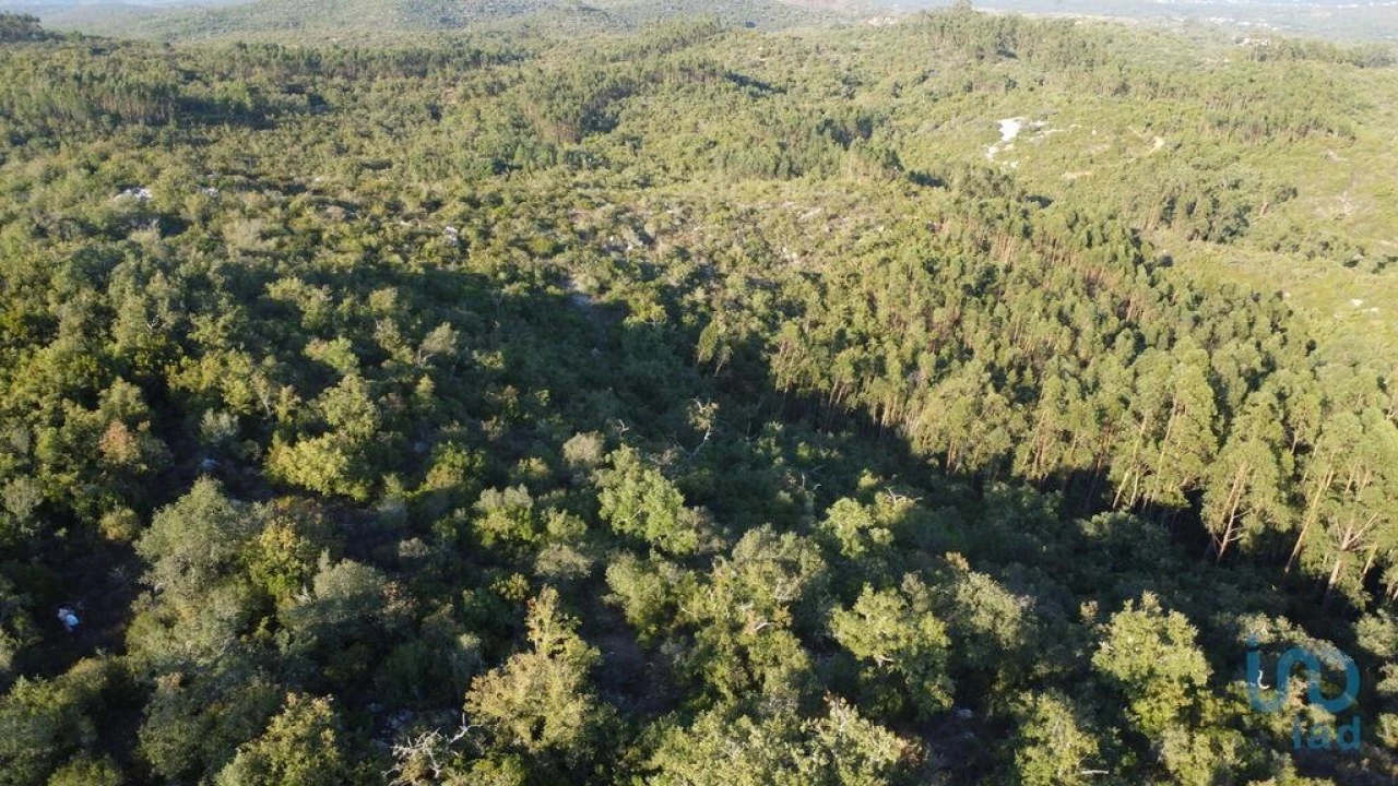 Terreno para Venda em Chãos Foto 1