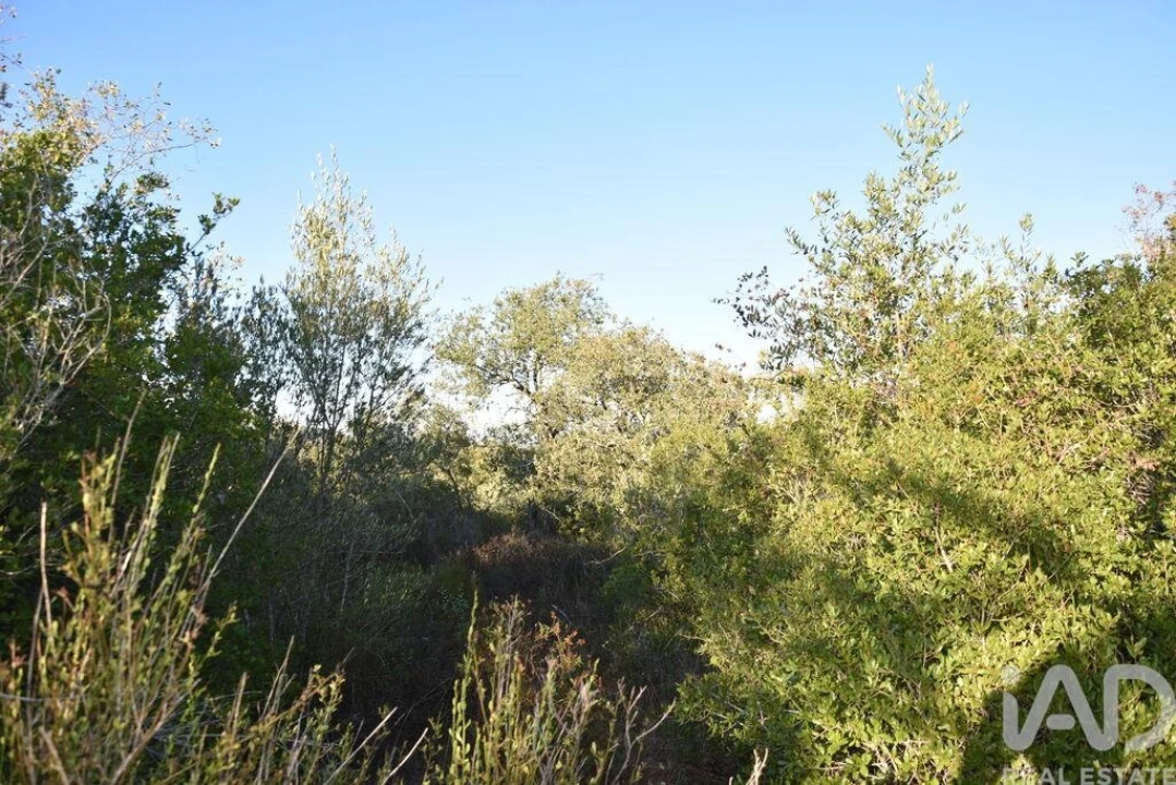 Terreno para Venda em Chãos Foto 27