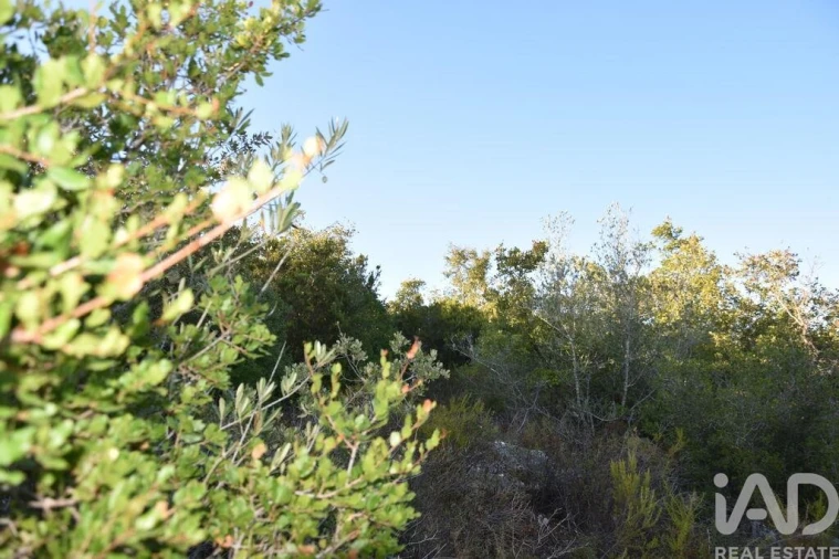 Terreno para Venda em Chãos Foto 25