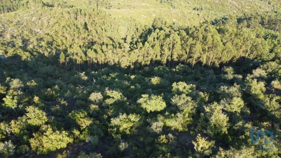Terreno para Venda em Chãos Foto 5