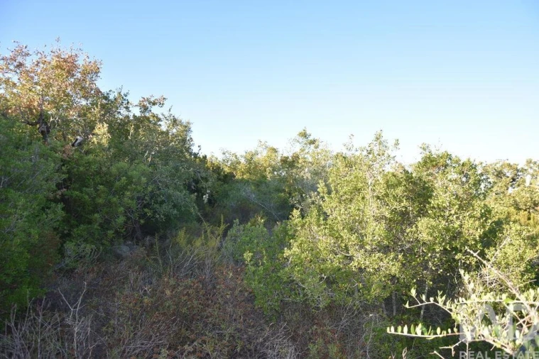 Terreno para Venda em Chãos Foto 18