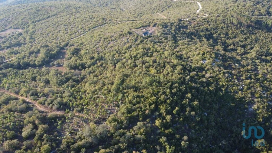 Terreno para Venda em Chãos Foto 14