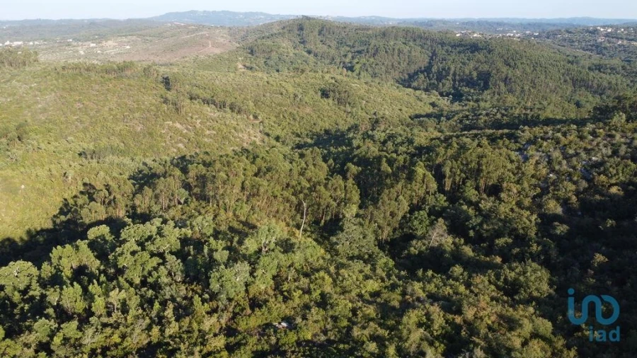 Terreno para Venda em Chãos Foto 7