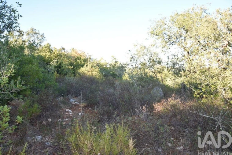 Terreno para Venda em Chãos Foto 26