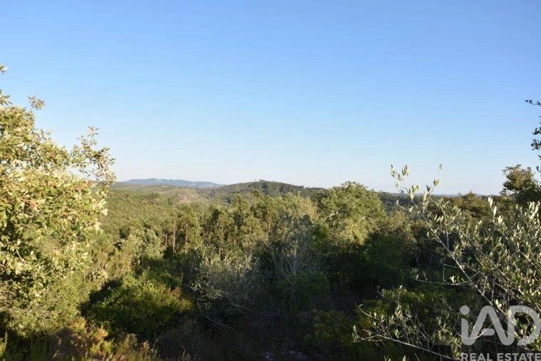 Terreno para Venda em Chãos Foto 22