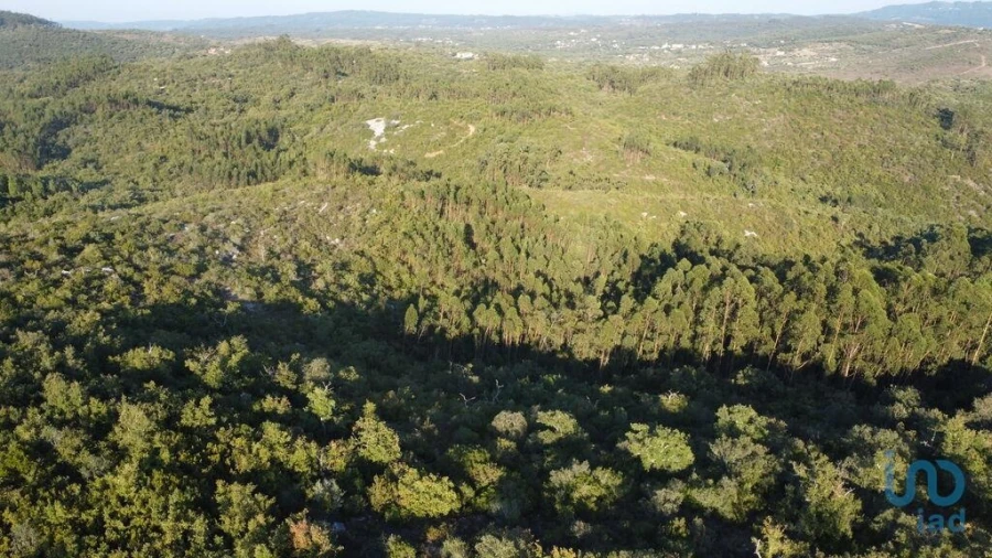 Terreno para Venda em Chãos Foto 11