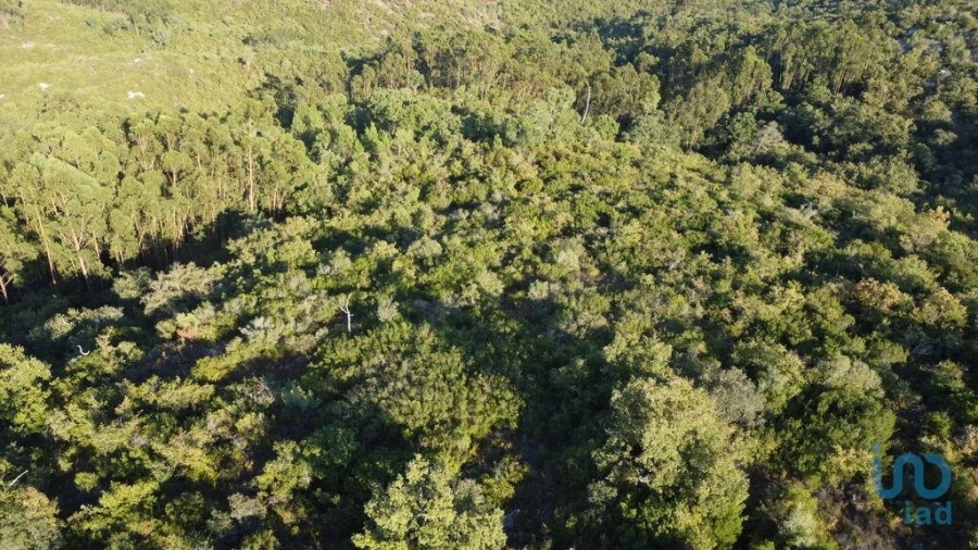 Terreno para Venda em Chãos Foto 6