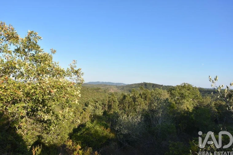 Terreno para Venda em Chãos Foto 23