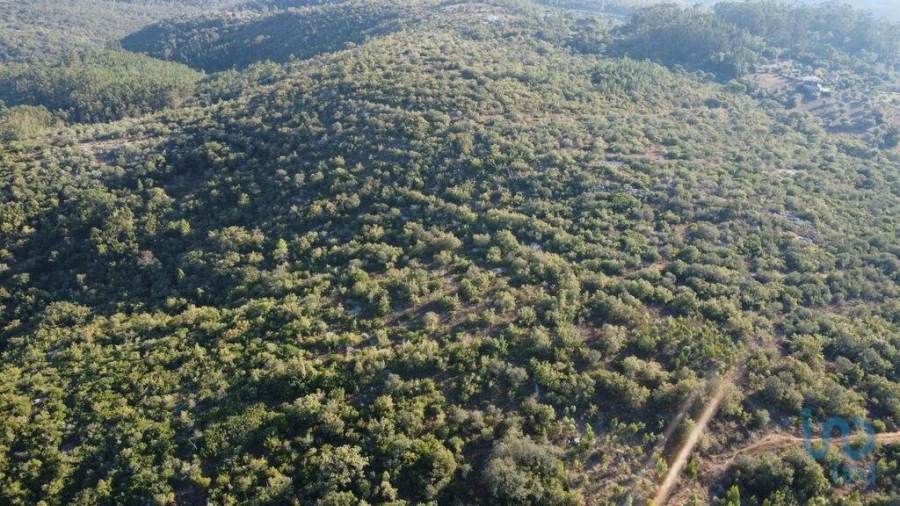 Terreno para Venda em Chãos Foto 4