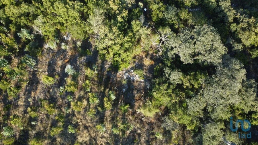 Terreno para Venda em Chãos Foto 12