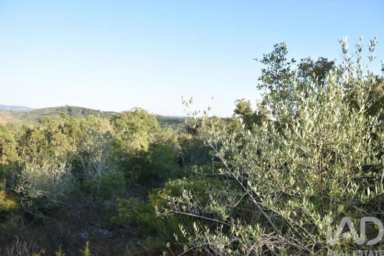 Terreno para Venda em Chãos Foto 24