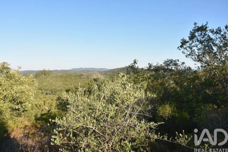 Terreno para Venda em Chãos Foto 17