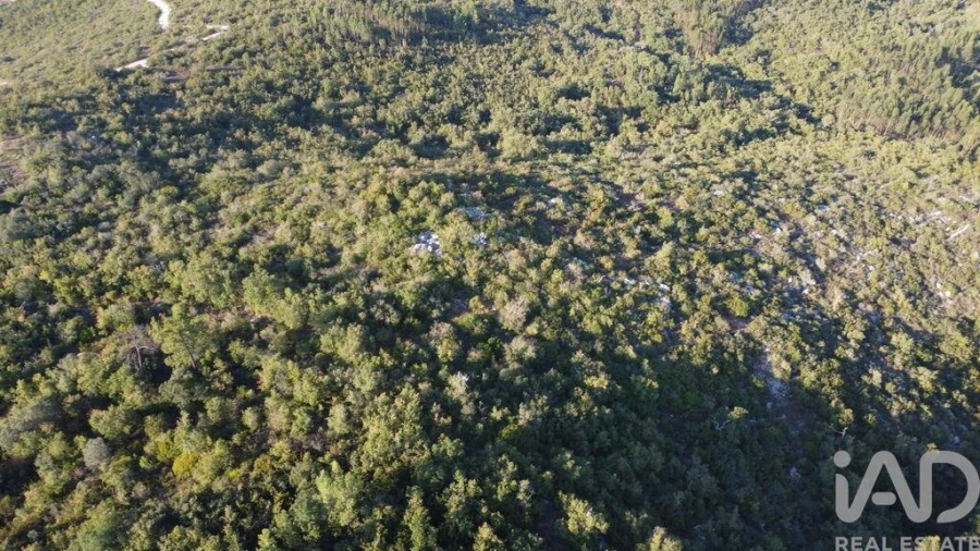 Terreno para Venda em Chãos Foto 15