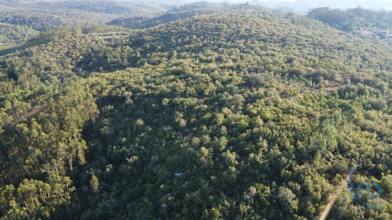 Terreno para Venda em Chãos Foto 3