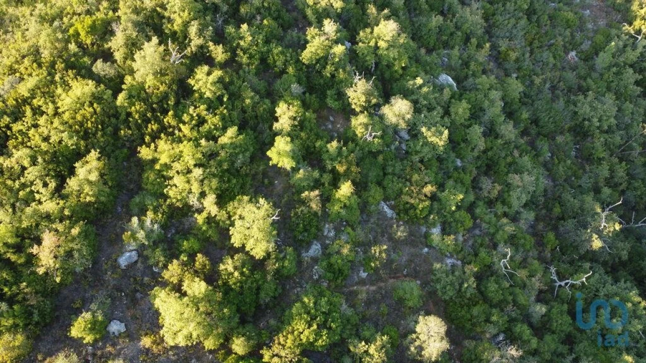 Terreno para Venda em Chãos Foto 10