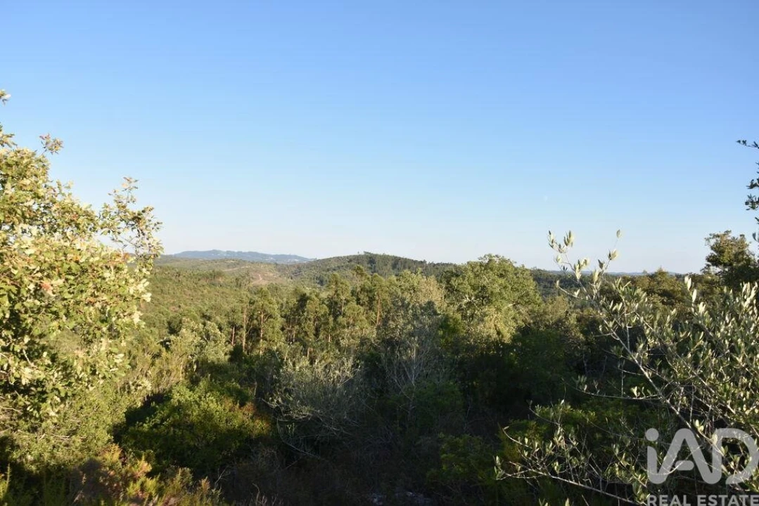 Terreno para Venda em Chãos Foto 22