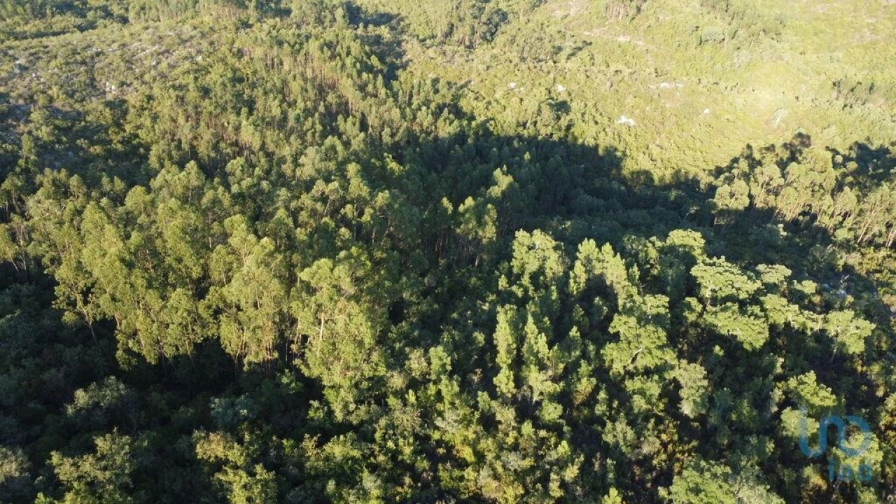 Terreno para Venda em Chãos Foto 13
