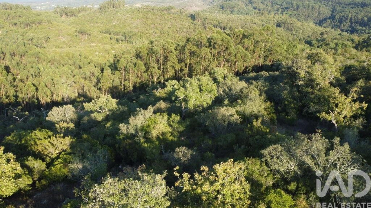 Terreno para Venda em Chãos Foto 16