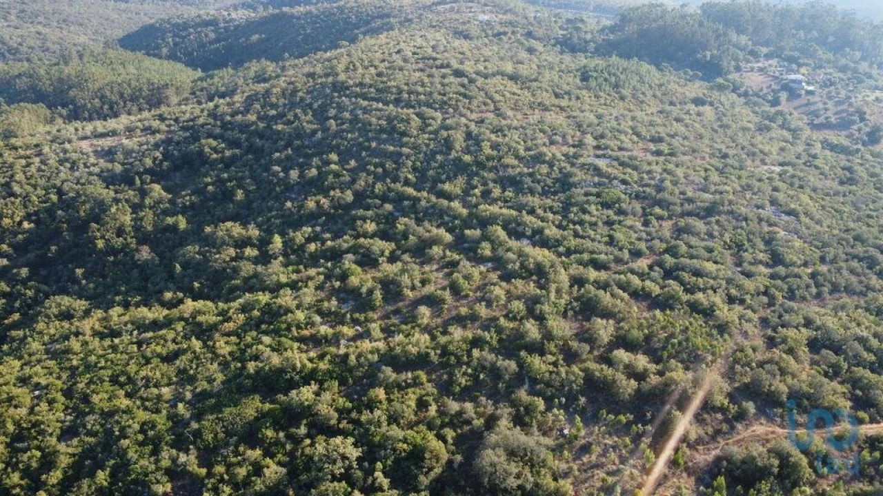 Terreno para Venda em Chãos Foto 4