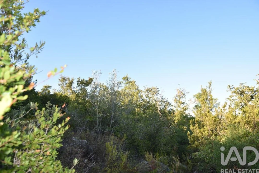 Terreno para Venda em Chãos Foto 21